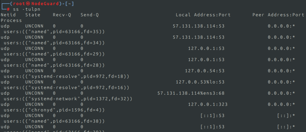 Checking port numbers and service number with ss command