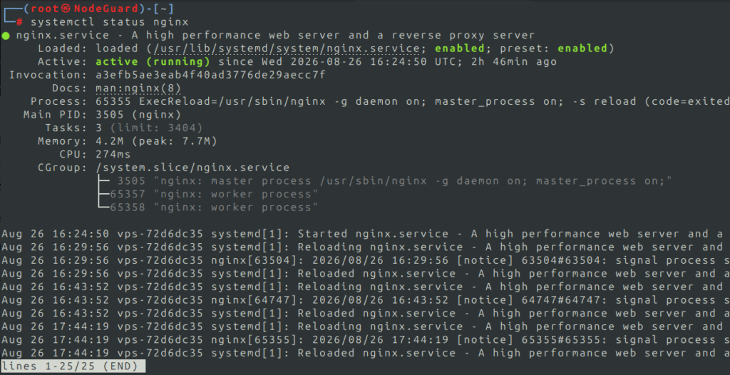 Checking nginx status with systemctl service